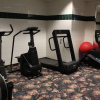 Отель Royal Inn and Suites, фото 11