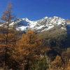 Отель Bergfreude Saas-grund, фото 28