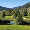 Отель Ferienwohnung Vogelnest im Schwarzwald, фото 5