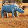 Отель Kalahari Sands Guest Lodge, фото 15