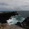Отель Lava Lizard Guesthouse, фото 10