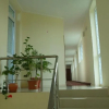 Отель Family Hotel Paradise, фото 17