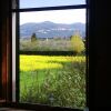 Отель Il Bosco Agriturismo, фото 12