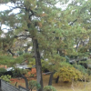 Отель Minato Oasis Numazu, фото 45