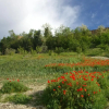 Отель Agriturismo Pozzuolo, фото 15