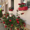 Отель Bozcaada Biz Hotel, фото 1