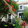 Отель Palheiro Cavalinho - ETC Madeira, фото 19