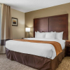 Отель Comfort Inn Charlotte Airport Uptown, фото 7