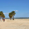 Отель Villa Doñana, фото 16