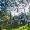 Отель Terracotta Hotel & Resort Dalat в Далате