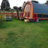 Отель Cosy Glamping Pod Glamping in St Austell Cornwall, фото 6