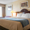 Отель Comfort Inn and Suites Ingersoll, фото 3