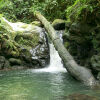 Отель Ríos Tropicales Lodge, фото 10