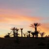 Отель Sahara Camp & Camel Trek, фото 1