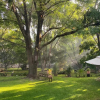 Отель Magnolias Jardin & Boutique Suites, фото 1