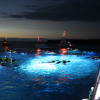 Отель Holiday Inn Express Hotel & Suites Kailua-Kona, an IHG Hotel, фото 18