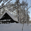Отель Big Foot Cabin Hakuba, фото 9
