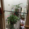 Отель Amsterdam B&B Barangay, фото 24