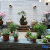 Отель Buerju Courtyard Hostel, фото 6