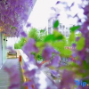 Отель Guoyan Mom's Flower Room Homestay (Ziyang Street Taizhou Fucheng Branch), фото 15