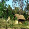 Отель Karnali Jungle Camp в Кохалпуре