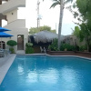 Отель Las Gaviotas Resort, фото 4