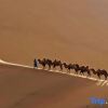 Отель Dunhuang Desert Star Camping Starry Sky Homestay, фото 7