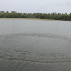 Отель Cherai Beach Resort, фото 19