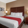 Отель Comfort Inn & Suites, фото 29