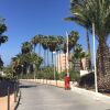 Отель Apartment Tenerife Cosmopolitan в Адехе