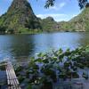 Отель Trang An Lotus Lake Homestay, фото 7