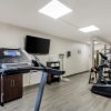 Отель Quality Inn & Suites, фото 17