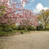 Отель Magpie Cottage, фото 25