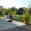 Отель Maison Angles , 3 pièces, 4 personnes - FR-1-357-6, фото 12