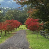 Отель Maple Cottage, фото 12