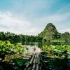 Отель Trang An Lotus Lake Homestay, фото 27