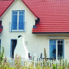 Отель Ferienhaus Anika, фото 6