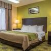 Отель Comfort Hotel & Suites, фото 3