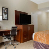 Отель Comfort Inn & Suites, фото 4