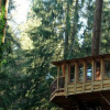 Отель Cabañas en los Árboles, фото 1