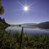 Отель Ferienvilla im Schwarzwald, фото 8