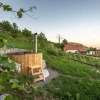 Отель Vineyard Cottage Škatlar 1, фото 11