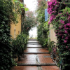 Отель Great brand new 1 bedroom apartment in the center of old Antibes, фото 9