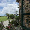 Отель Verdant Hotel & Holistic Experience, фото 14