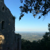 Отель Le Castellas du Pic St Loup, фото 1