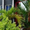 Отель Holland Lodge Paramaribo в Парамарибо