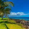 Отель Kihei Surfside #102 1 Bedroom Condo by RedAwning, фото 33