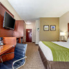 Отель Comfort Inn Lenoir City-Knoxville, фото 4