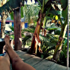 Отель Nayal Lodge, фото 6