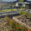 Отель Azumino Fukuro Owl Guest House, фото 16
